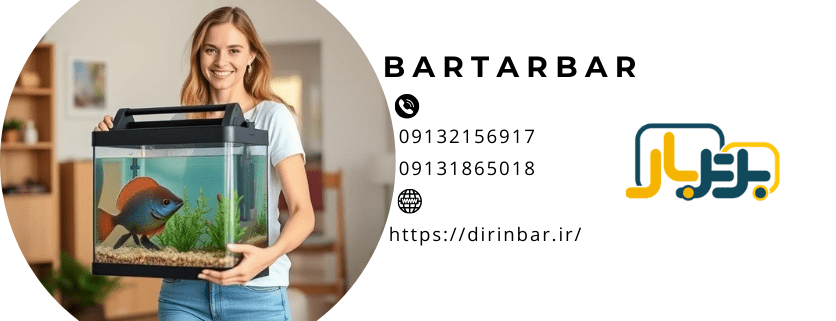12 نکته طلایی برای جابجایی آکواریوم که به شما نگفته اند!