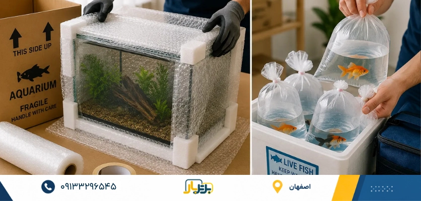 جابجایی آکواریوم؛ 5 نکته مهم برای حمل ایمن و بدون آسیب! 3 بسته حمل ایمن ماهی - جابجایی آکواریوم