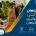 جابجایی گلدان - جابجایی گیاهان
