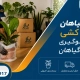 جابجایی گلدان - جابجایی گیاهان