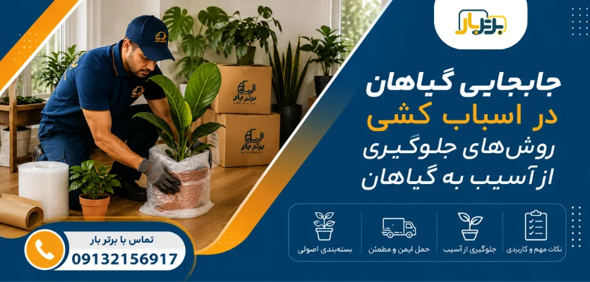جابجایی گلدان - جابجایی گیاهان